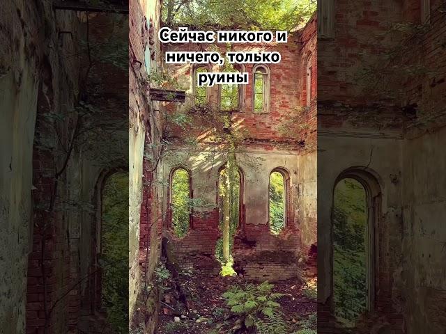 Остров Октября (Успенский остров) на реке Волхов. Руины в Ленинградской области