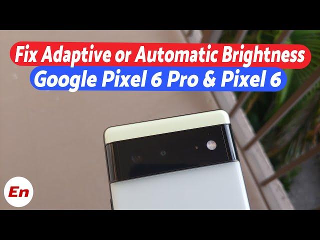 Google Pixel 6 Pro & Pixel 6 :- Fix Adaptive or Automatic Brightness Issues