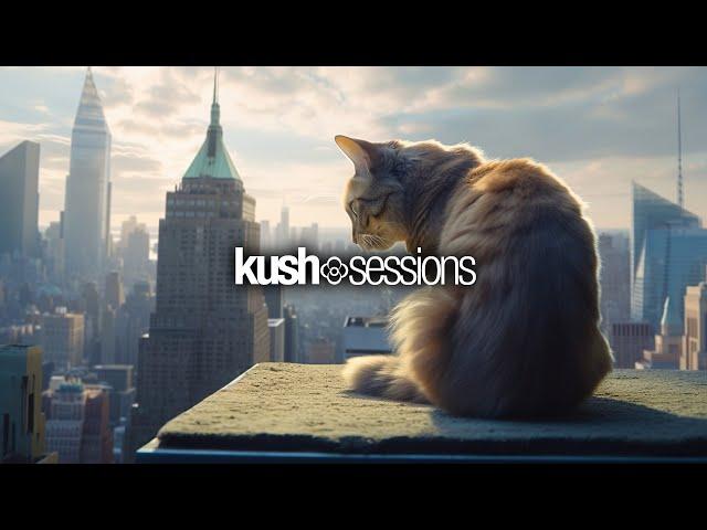 #242 KushSessions (Liquid Drum & Bass Mix)