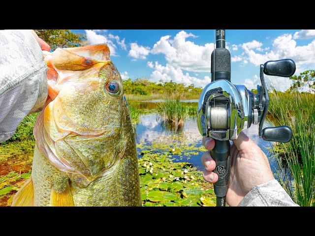 My BEST Summer Bass Fishing Day EVER (Aggressive Bites)