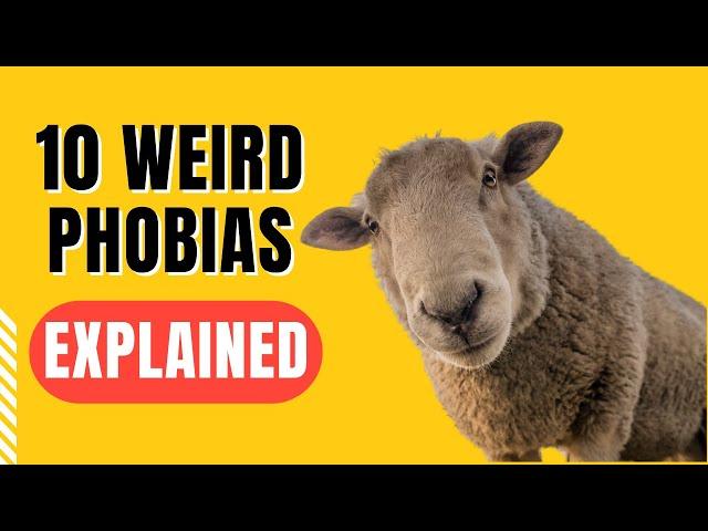 10 Unusual Phobias You Never Knew Existed"