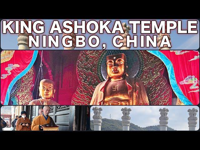 Discover the Ancient King Asoka Temple dedicated to BUDDHA in Ningbo City, China