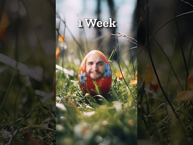 The Forgotten Easter Egg 