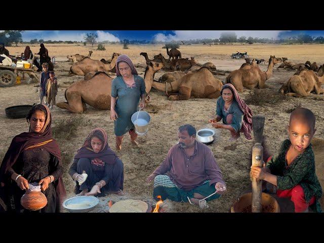 Pakistani Camel People Life Style In The Desert | Desert Women Morning Routine | Camle Milking