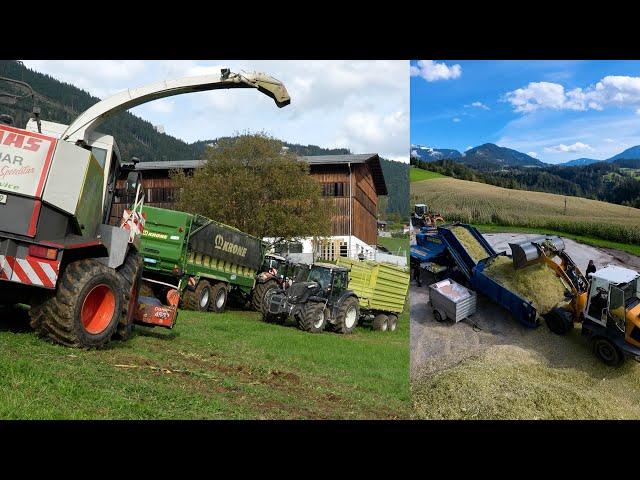 Maisernte am Berg XL: Soundvideo mit Steyr, Valtra, Fendt, Claas, Krone, Fliegl, Göweil, Liebherr