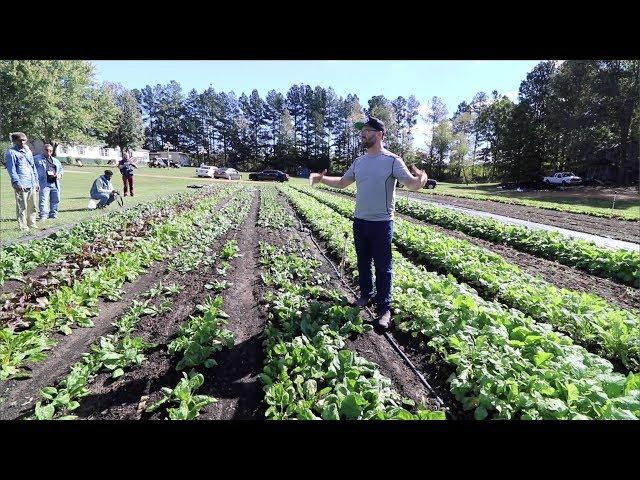 Market Gardening: Why 30-Inch Beds Are the Key to Thriving Crops!