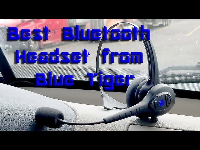 Blue tiger advantage plus one year after release, did they fix the problems?