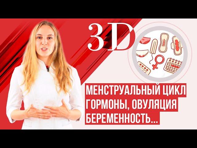 Менструальный цикл, гормоны, менструация. Лучшее видео.