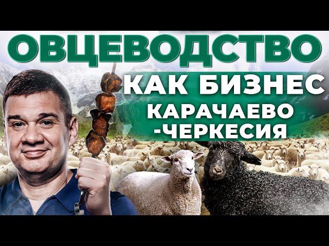 Как сделать Бизнес на Баранине? Путешествие в Карачаево-Черкесию | Андрей Даниленко