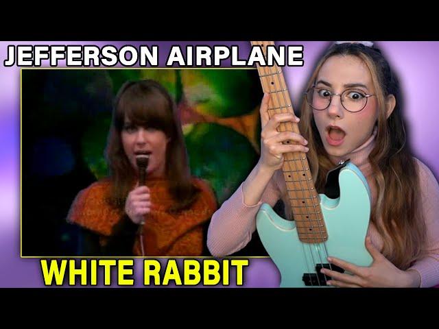 Jefferson Airplane -White Rabbit | Singer Bassist Musician Reacts