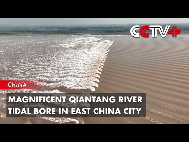 Magnificent Qiantang River Tidal Bore in East China City Amazes Holidaymakers