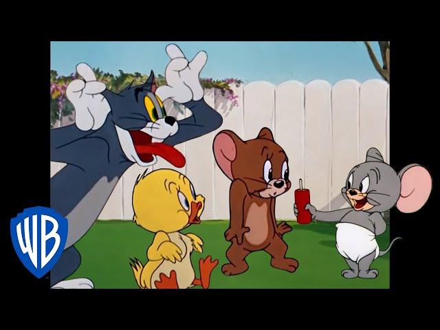 Tom & Jerry | Cuteness Overload! | Classic Cartoon Compilation | WB Kids