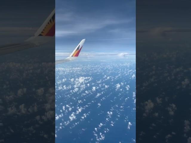 Airplane passing by in opposite direction #shorts #airplaine #viral #sky #skyline #clouds