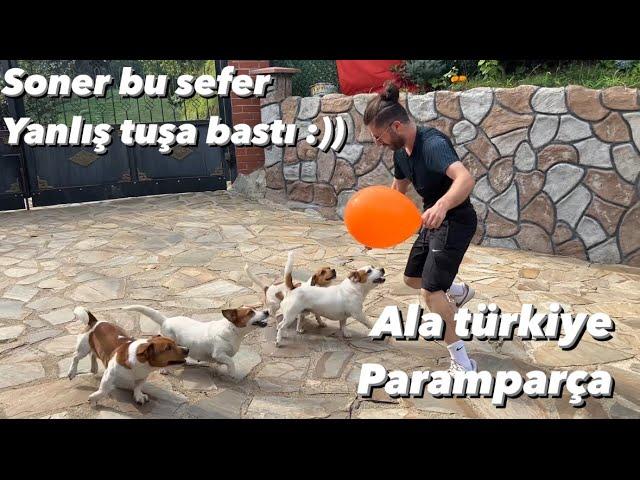 JACKRUSSEL ÇETESİ KÖPEK UZMANI SONER’i PARAMPARÇA ETTİ