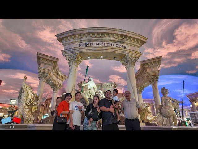 Aquarium, IN-N-OUT, Ceasars Palace and Bellagio || Las Vegas Vlog