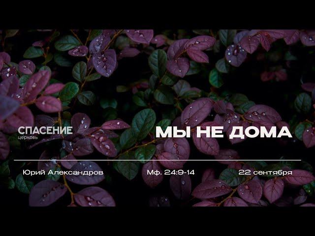 22.09.24 | Александров Юрий | Мы не дома