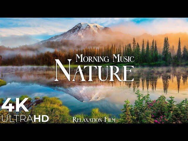 Morning Relaxing Music - Nature Relaxation Film 4K - Peaceful Relaxing Music - Video UltraHD