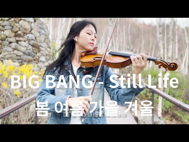 빅뱅 BIGBANG - '봄여름가을겨울 (Still Life)' [바이올린 커버 Violin Cover]