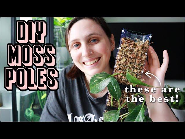 how to make the best MOSS POLES for your climbing plants 🪴 D-shaped moss pole DIY