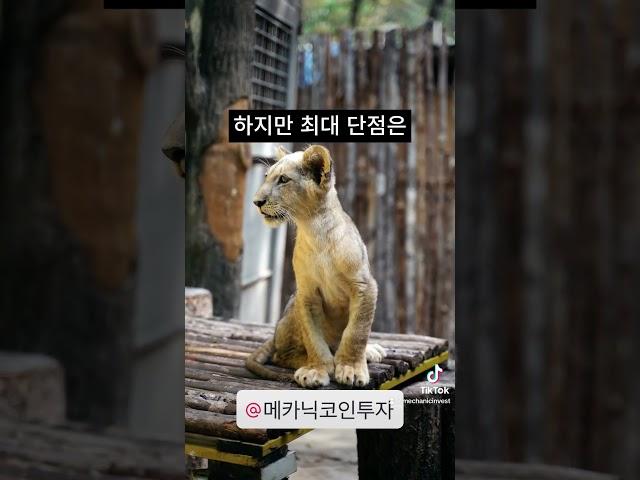 알고랜드 투자를 추천하지 않습니다!!#알고랜드