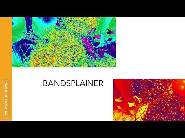 Bandsplainer: Animal Collective with Patty Greer (S1E4)