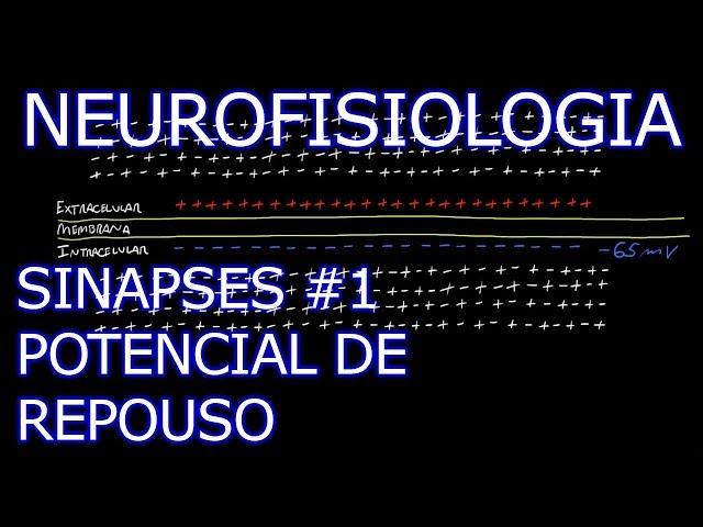 Aula: Neurofisiologia - Sinapses #1 - Potencial de Repouso | Neurofisiologia Humana