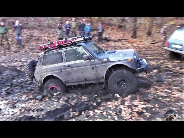 Турбо Нива в деле!!! Что лучше, стратегия водителя или подготовка внедорожника?