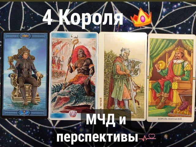 4 короля!  МЧД и перспективы!