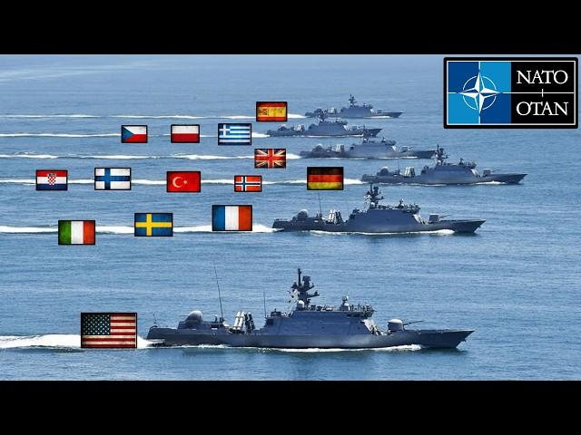 26 Strongest Navies in NATO | You'll Be Surprised | 2025