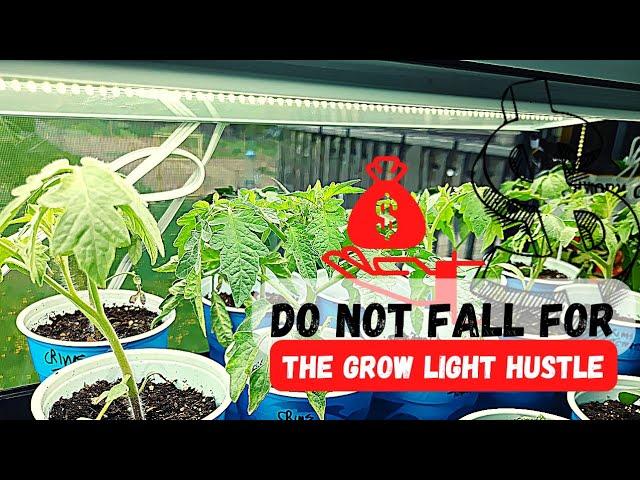 Grow Lights For LESS Money |Cheap Alternatives to Expensive Grow Lights|