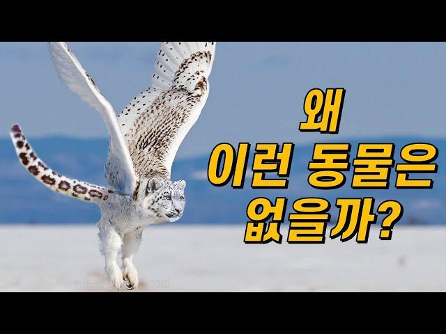 불가능한 진화!｜왜 바퀴 달린 동물, 날개 달린 유인원은 없을까?