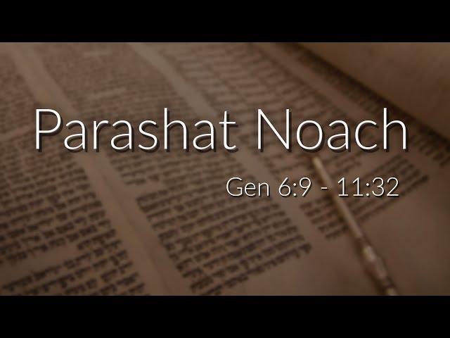 Messianic Parashat:  Noach