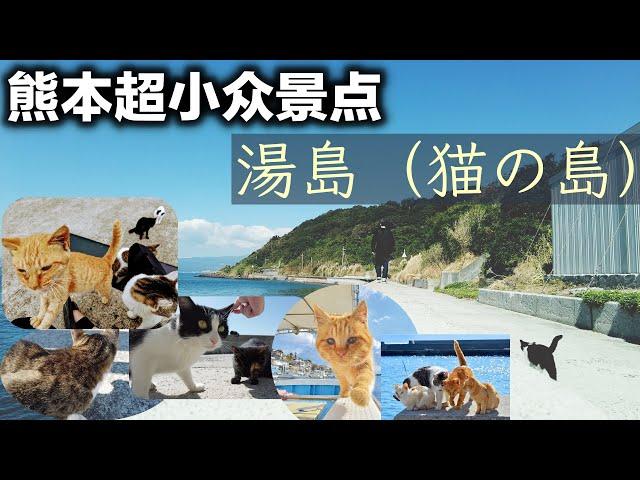 探秘熊本縣超小眾離島--湯島.因島上貓比人多所以又被稱為“貓島”!