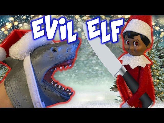 SHARK PUPPET AND THE EVIL ELF ON THE SHELF!!