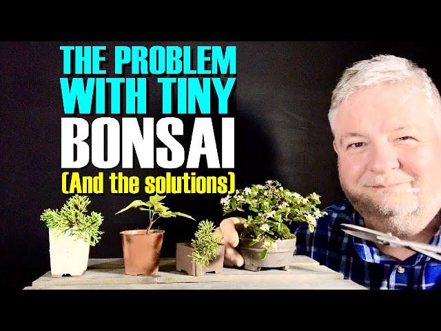 The Secrets of Tiny (Mame) Bonsai Development