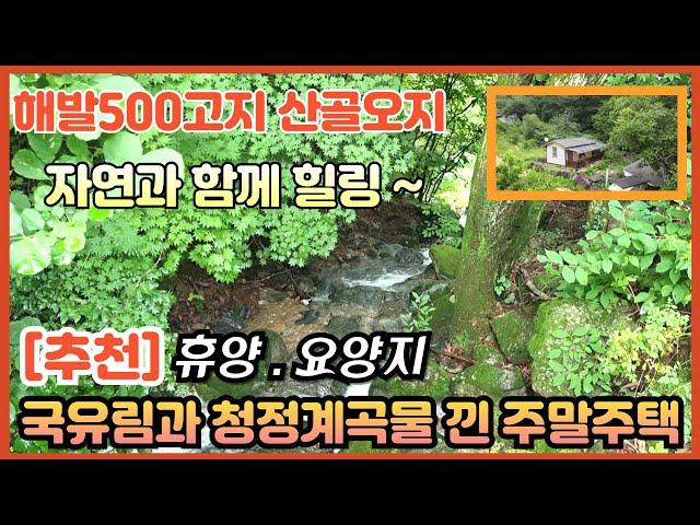 [추천]500고지 국유림 산골짜기 도로막장 ㅣ국유림 소나무 숲속과 계곡물 접한 산골주택 ㅣ대지32평 /주택11평   [강원원주주택] 부동산 전원일기tv