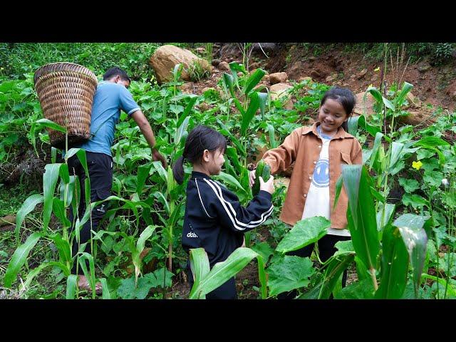 Harvest Vegetables and Squash to Sell at Market, Buy New School Bag for Daughter | Family Farm