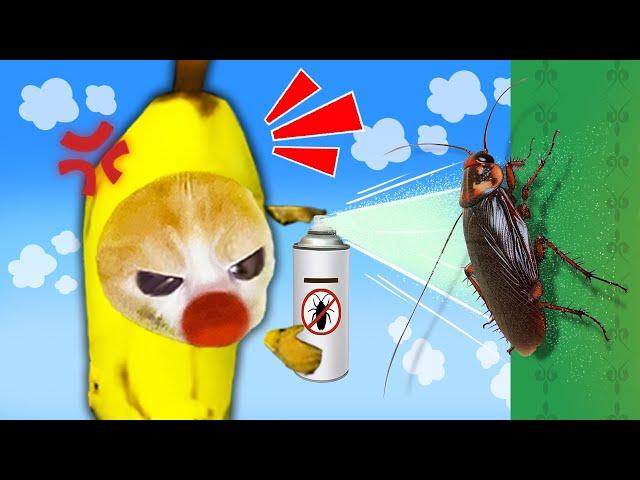 Banana Cat's Epic Struggle Against The Scary Cockroach!  Baby Banana Cat Compilation | Cat MEME 