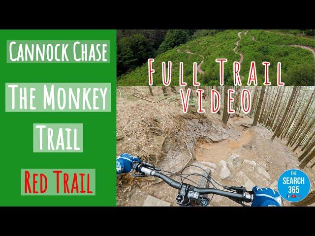 Riding the Monkey Trail, Cannock Chase - Full Trail Video