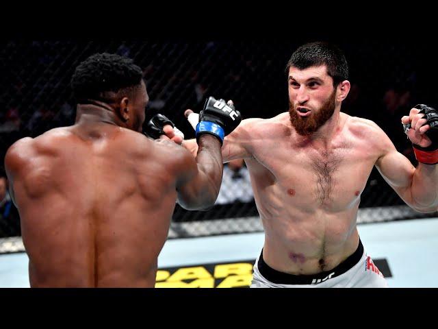 Magomed Ankalaev | Top Knockouts