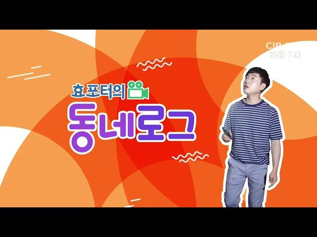 효포터의 동네로그 - 청주시 흥덕구 강내면 석화리