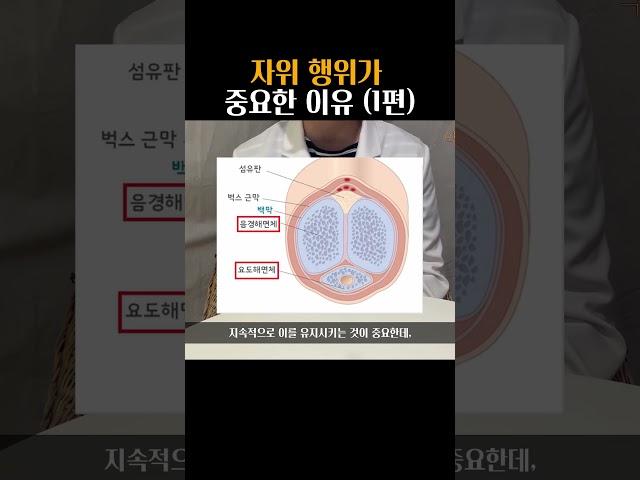 자위 행위가 건강에 중요한 이유 (1편)