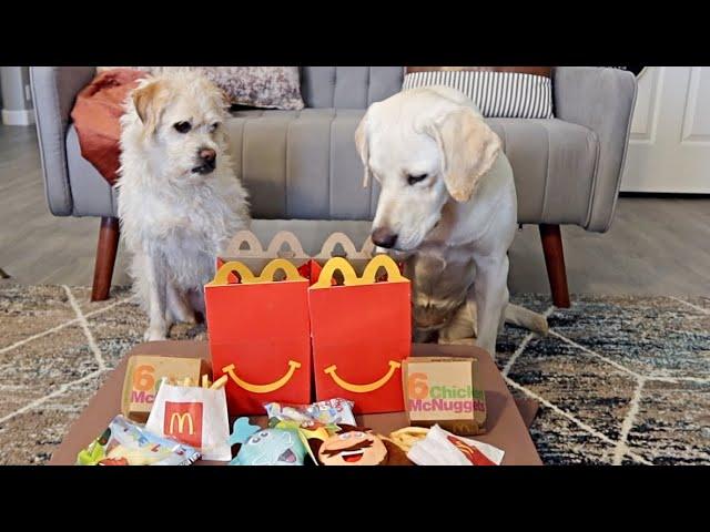 My Dogs First McDonald's Happy Meal!!!