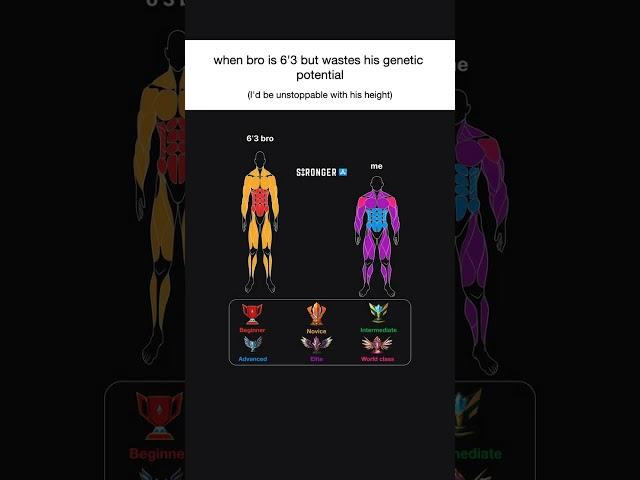 Search 'Stronger' on the app store to discover your strength. Join 1M+ people tracking their workout