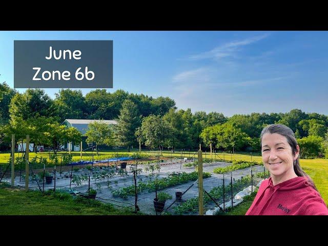 GARDEN TOUR Kentucky - Zone 6b - June | Vegetable Garden and Orchard on the Homestead