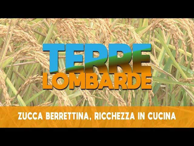 Terre Lombarde - Zucca Berrettina, ricchezza in cucina