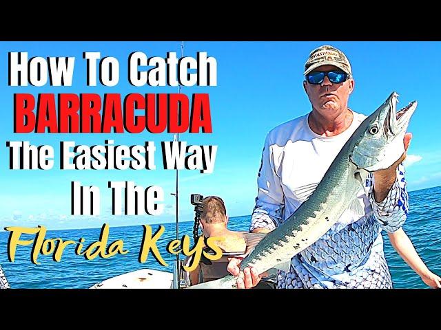 How to catch BARRACUDA in the Florida Keys | Easiest Way HOW, WHERE, LURE & GEAR