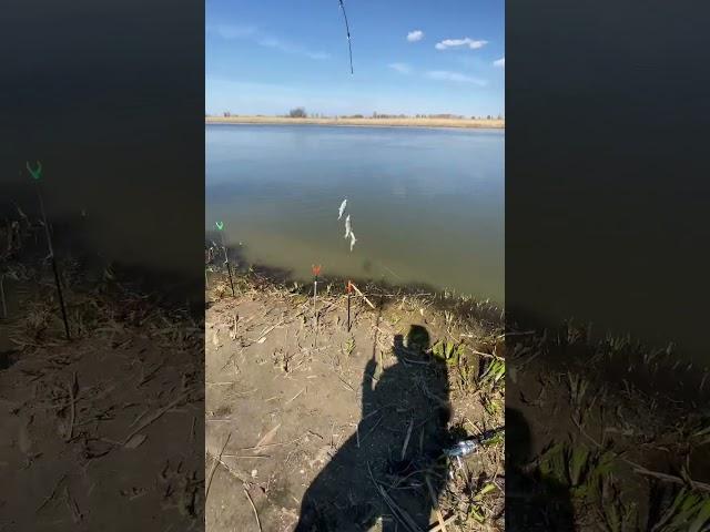 #Рыбалка#астрахань#вобла#fishing