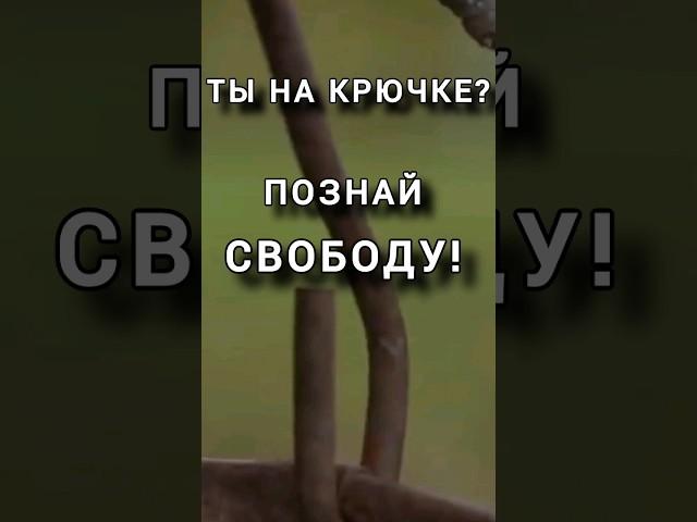 Ты на крючке? Обрети свободу. Верный Путь к Богу. Отрывок из книги #Антаровой К. #осознанность