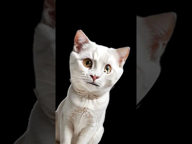 좋아요도용